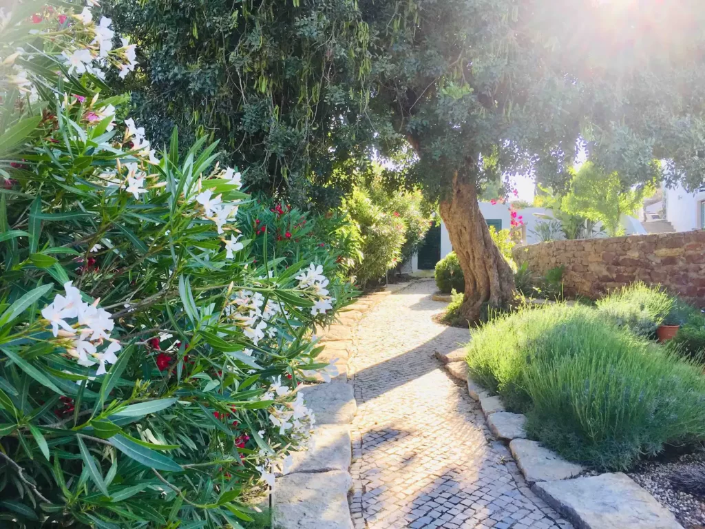 3772eebc-f256-4e91-8e60-3caf4ee56edf