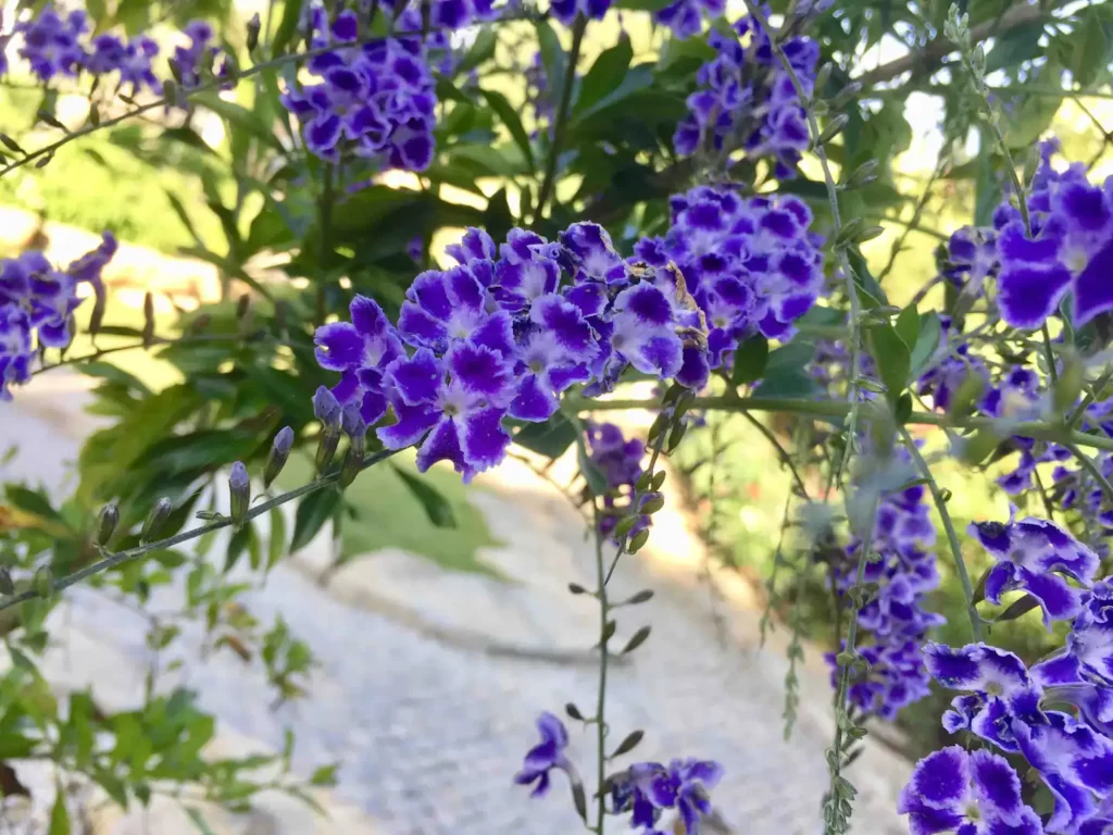 488387b4-4b04-46e9-85d1-947d77bbc812