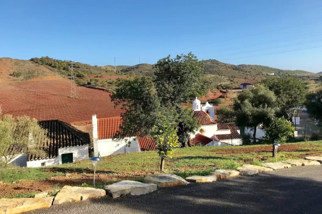 8fac418a-e30d-4abd-918c-f627c3501598