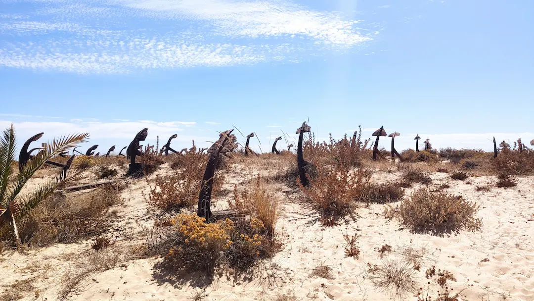 Fascinating things can be found on Algarve beaches like the anchors at Praia do Barril